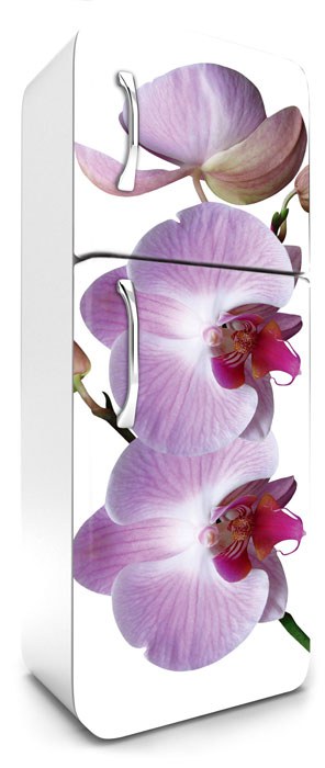 Samoljepljiva foto tapeta za hladnjak Ružičasta orhideja FR-180-024, 65x180 cm