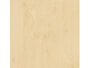 Samoljepljiva folija Breza 200-2875 d-c-fix, širina 45 cm Drvo