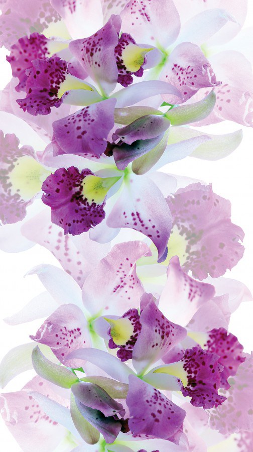Foto zavjesa Trešnjovi cvijet FCSL-7523, 140 x 245 cm - Foto zavjese