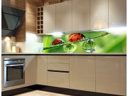 Samoljepljiva foto tapeta za kuhinje Ladybird KI-180-015, 180x60 cm Samoljepljive - Za kuhinje
