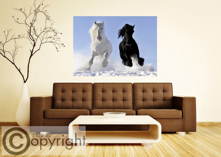 Flis foto tapeta Bijeli i crni konj FTNM-2691