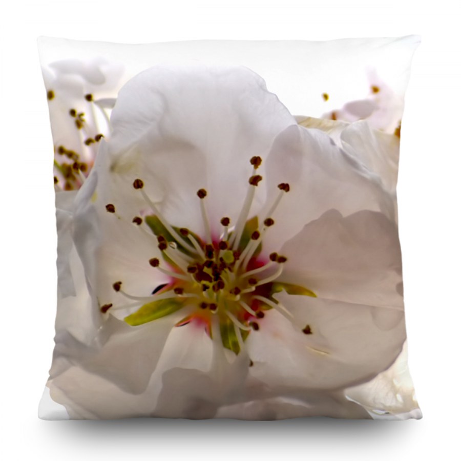 Dekorativni jastuk Cvijet jabuke CN-3606, 45 x 45 cm - Dekorativni jastuci