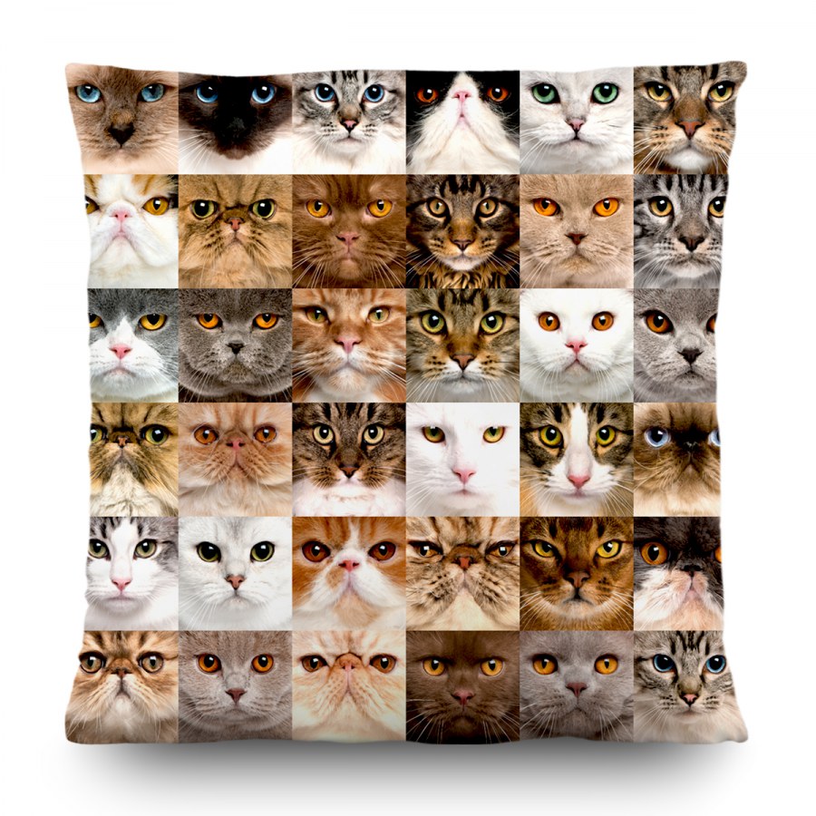 Dekorativni jastuk Mačke CN-3615, 45 x 45 cm - Dekorativni jastuci