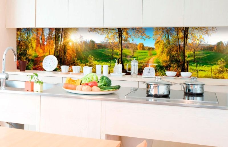 Samoljepljiva foto tapeta za kuhinje - Livada KI-350-083 | 350x60 cm - Za kuhinje