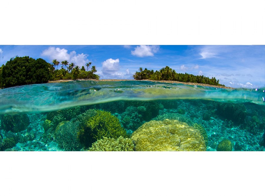 Panoramski flis foto tapeta Koraljni greben MP20200 | 375 x 150 cm