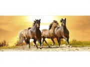 Panoramska flis foto tapeta Konji pri zalasku sunca MP20227 | 375 x 150 cm