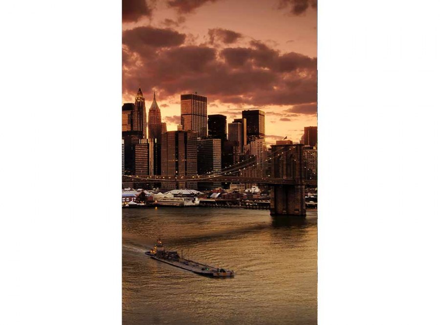 Flis foto tapeta New York MS20002 | 150x250 cm