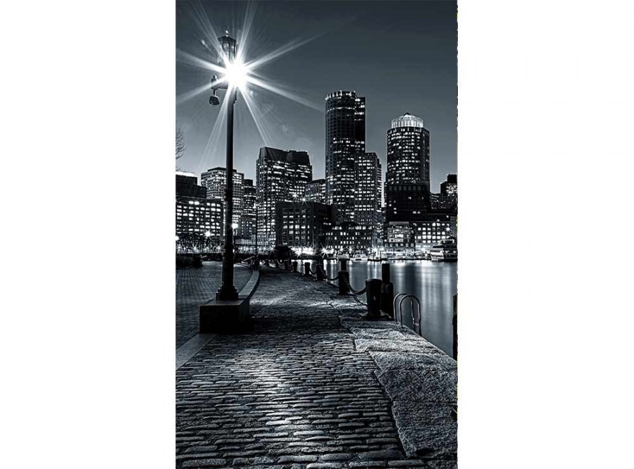 Flis foto tapeta Boston MS20016 | 150x250 cm