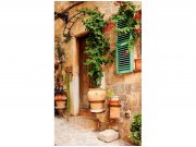 Flis foto tapeta Vrt na ulici MS20046 | 150x250 cm Od flisa