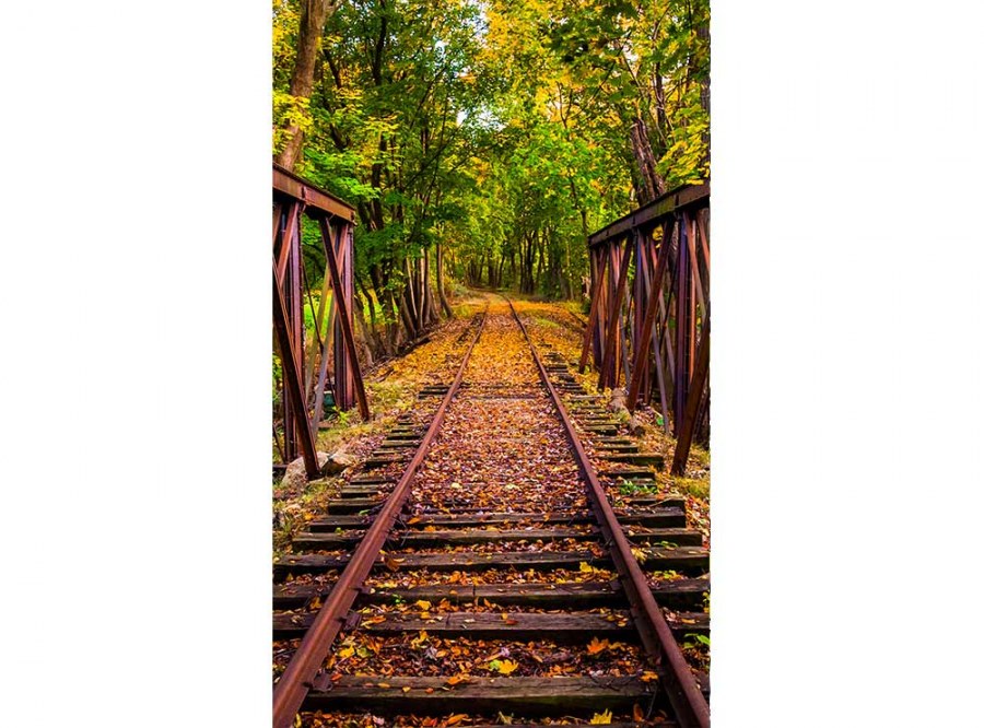 Flis foto tapeta Željeznica u šumi MS20055 | 150x250 cm