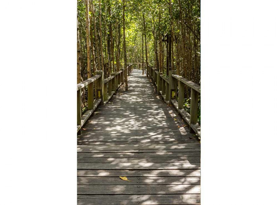 Flis foto tapeta Mangrovska šuma MS20059 | 150x250 cm - Od flisa