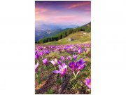 Flis foto tapeta Šafrani na proljeće MS20064 | 150x250 cm Od flisa