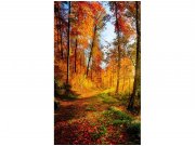 Flis foto tapeta Šetnjica šumom MS20065 | 150x250 cm Od flisa