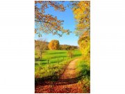 Flis foto tapeta Livada MS20066 | 150x250 cm Od flisa