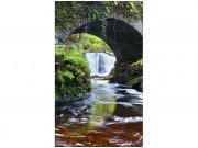 Flis foto tapeta Irska MS20081 | 150x250 cm Od flisa