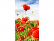 Flis foto tapeta Crveni mak MS20090 | 150x250 cm Od flisa