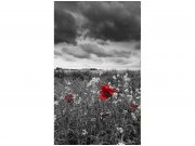 Flis foto tapeta Crnobijeli vučji makovi MS20091 | 150x250 cm Od flisa