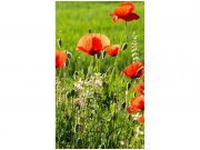Flis foto tapeta Makovo polje MS20092 | 150x250 cm Od flisa