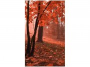 Flis foto tapeta Šuma u magli MS20095 | 150x250 cm Od flisa