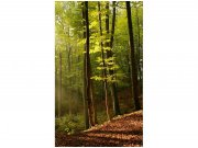Flis foto tapeta Šuma MS20098 | 150x250 cm Od flisa