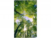 Flis foto tapeta Stabla u oblacima MS20104 | 150x250 cm Od flisa