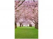 Flis foto tapeta Voćnjak sa trešnjama MS20105 | 150x250 cm Od flisa
