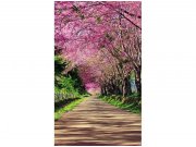 Flis foto tapeta Cvjetnica MS20106 | 150x250 cm Od flisa