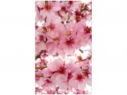 Flis foto tapeta Cvijet jabuke| MS-2-0108 | 150x250 cm Od flisa