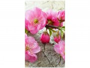 Flis foto tapeta Sakura MS20109 | 150x250 cm Od flisa