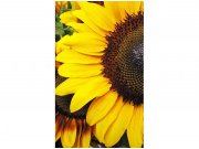 Flis foto tapeta Suncokreti MS20130 | 150x250 cm Od flisa