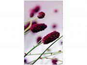 Flis foto tapeta Ljubičasti cvijet MS20141 | 150x250 cm Od flisa
