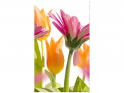 Flis foto tapeta Proljetni cvijet MS20142 | 150x250 cm Od flisa