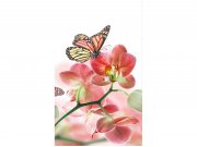 Flis foto tapeta Leptiri i orhideje MS20146 | 150x250 cm Od flisa