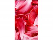 Flis foto tapeta Crvene latice MS20151 | 150x250 cm Od flisa