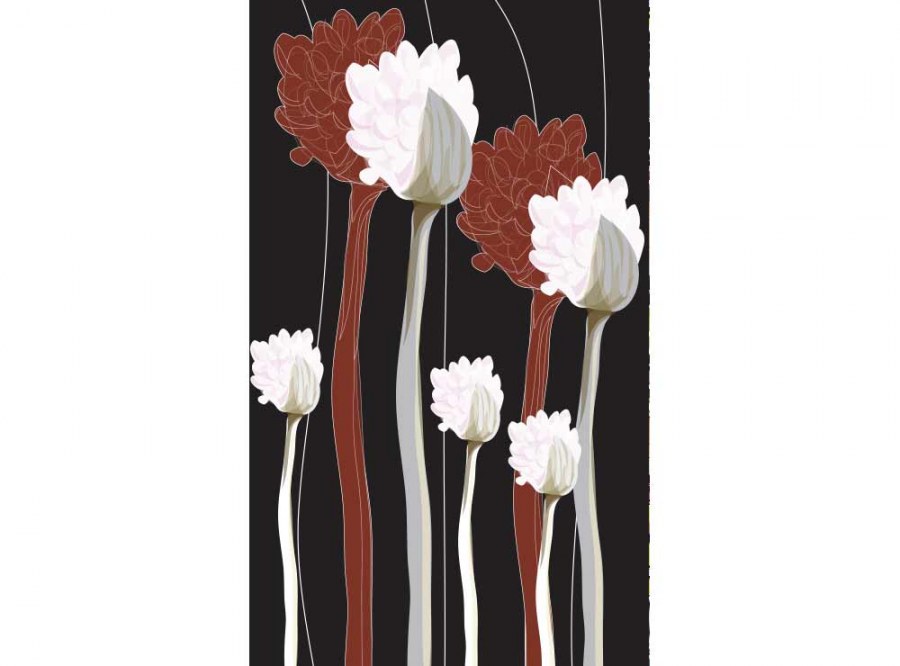 Flis foto tapeta Cvijeće na crnoj pozadini MS20155 | 150x250 cm - Od flisa