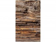 Flis foto tapeta Kora stabla MS20159 | 150x250 cm Od flisa