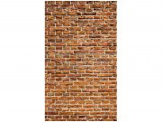 Flis foto tapeta Stari zid od cigle MS20167 | 150x250 cm Od flisa