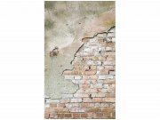Flis foto tapeta Špricani zid MS20168 | 150x250 cm Od flisa