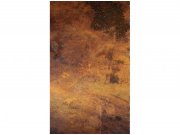 Flis foto tapeta Izgreban bakar MS20179 | 150x250 cm Od flisa