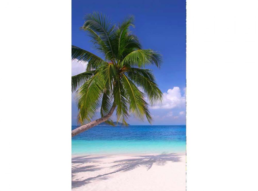 Flis foto tapeta Plaža sa palmama MS20194 | 150x250 cm