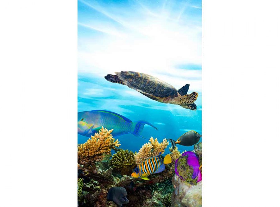 Flis foto tapeta Ribe u oceanu MS20216 | 150x250 cm