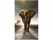 Flis foto tapeta Hodajući slon MS20225 | 150x250 cm Od flisa