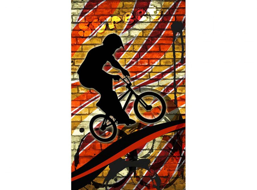 Flis foto tapeta Crveni bicikl MS20327 | 150x250 cm - Od flisa