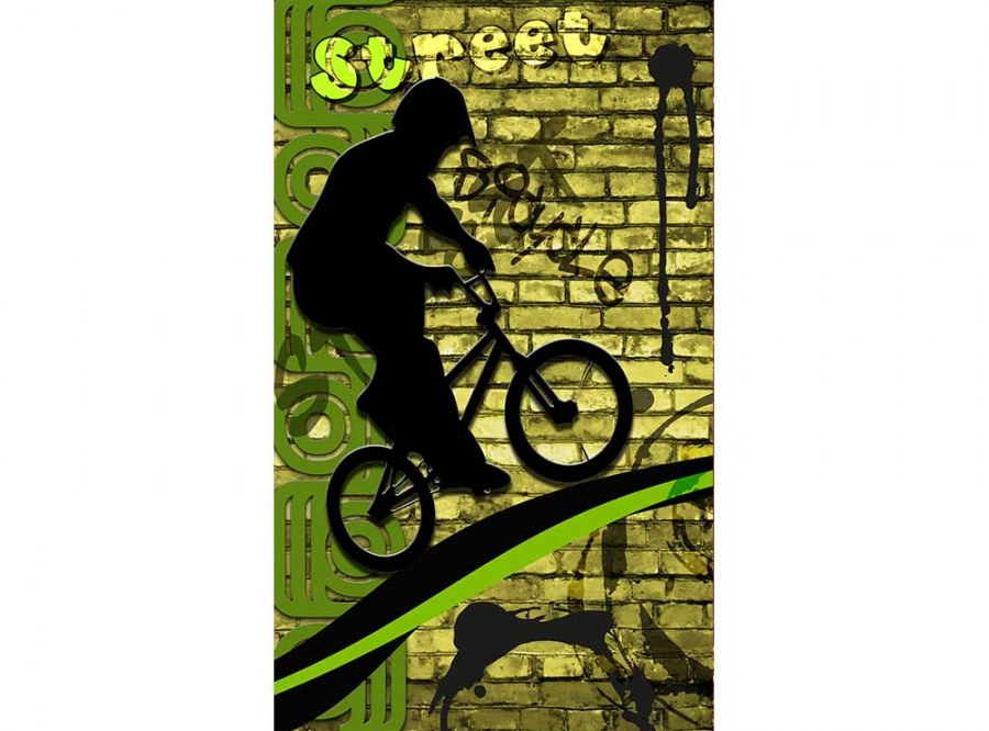 Flis foto tapeta Zeleni bicikl MS20328 | 150x250 cm