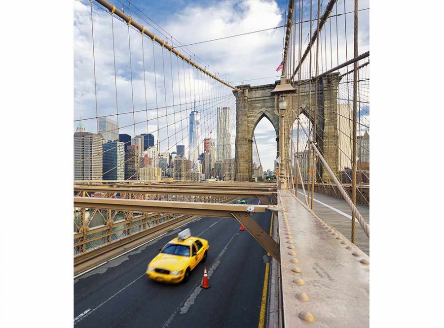 Flis foto tapeta Grad New York MS30004 | 225x250 cm