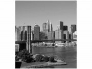 Flis foto tapeta Manhattan u sivoj boji MS30010 | 225x250 cm Od flisa