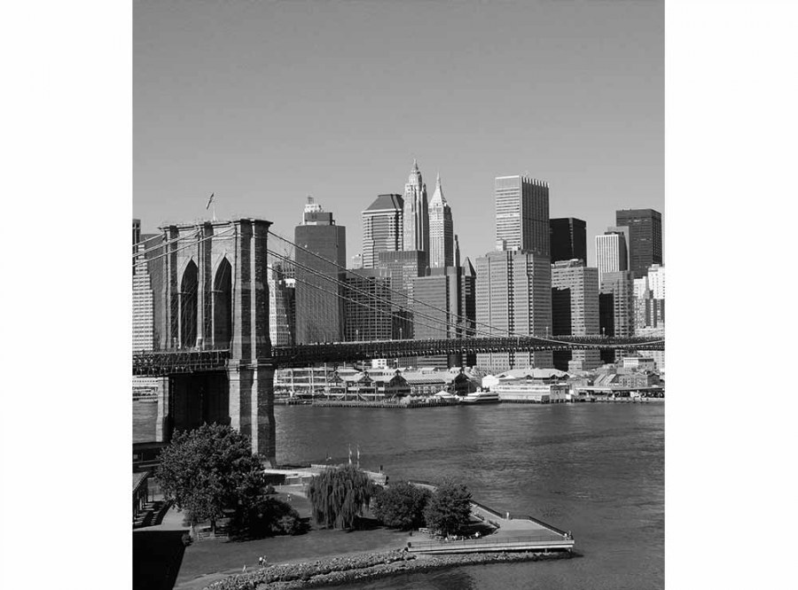 Flis foto tapeta Manhattan u sivoj boji MS30010 | 225x250 cm