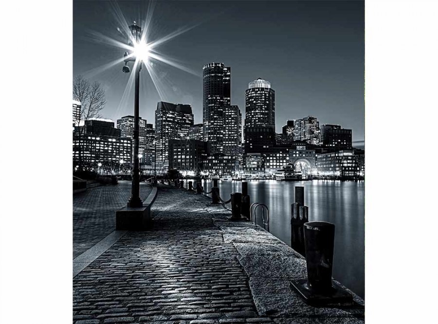 Flis foto tapeta Boston MS30016 | 225x250 cm