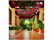 Flis foto tapeta Terasa MS30045 | 225x250 cm Od flisa