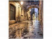 Flis foto tapeta Drevna ulica MS30048 | 225x250 cm Od flisa